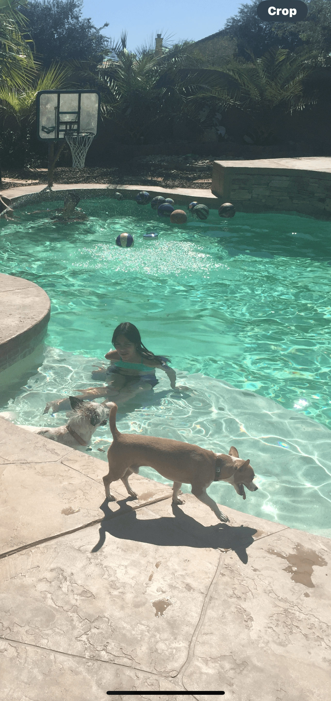 Pool Hounds work example 3