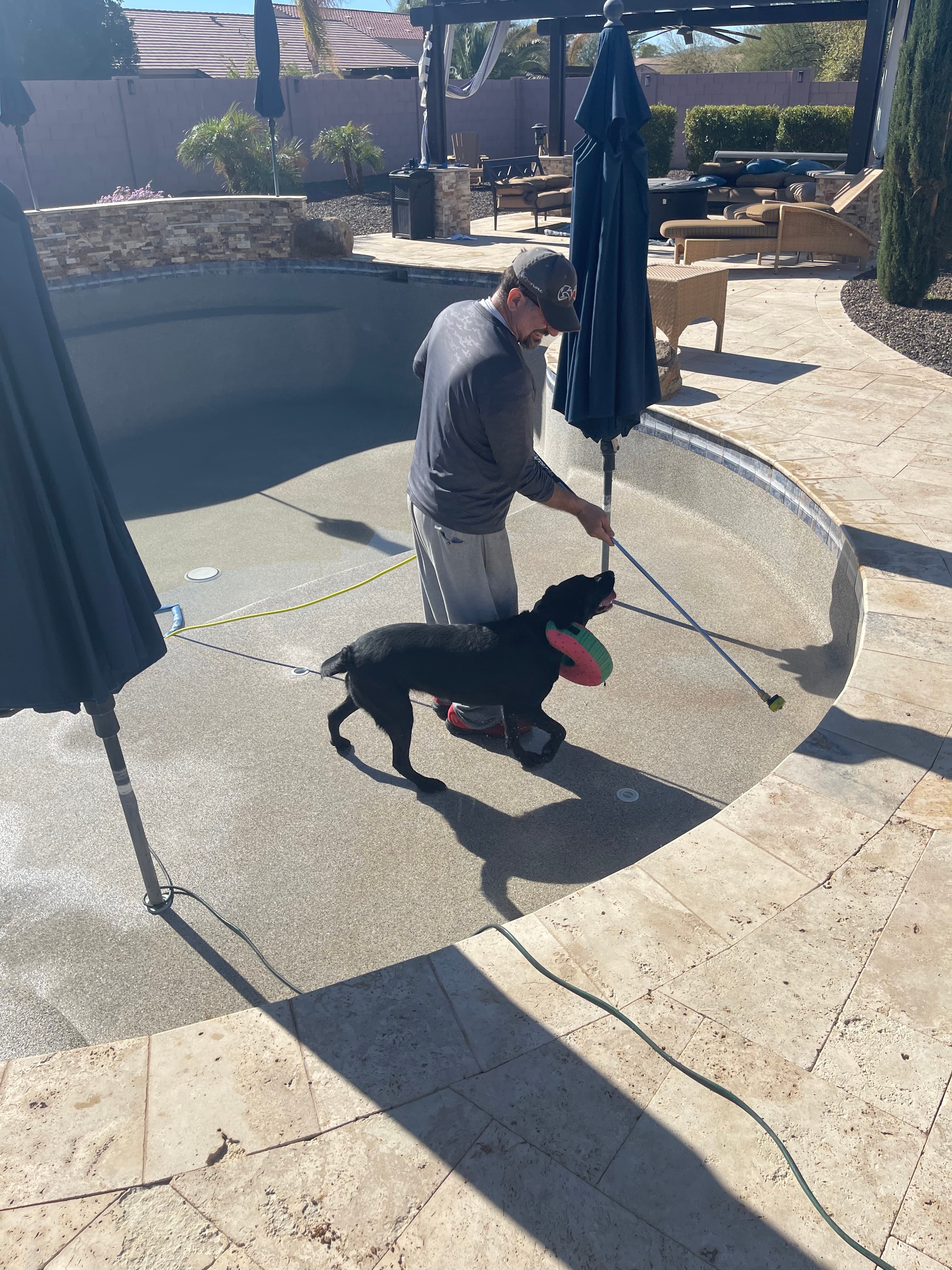 Pool Hounds team at work with our furry helper