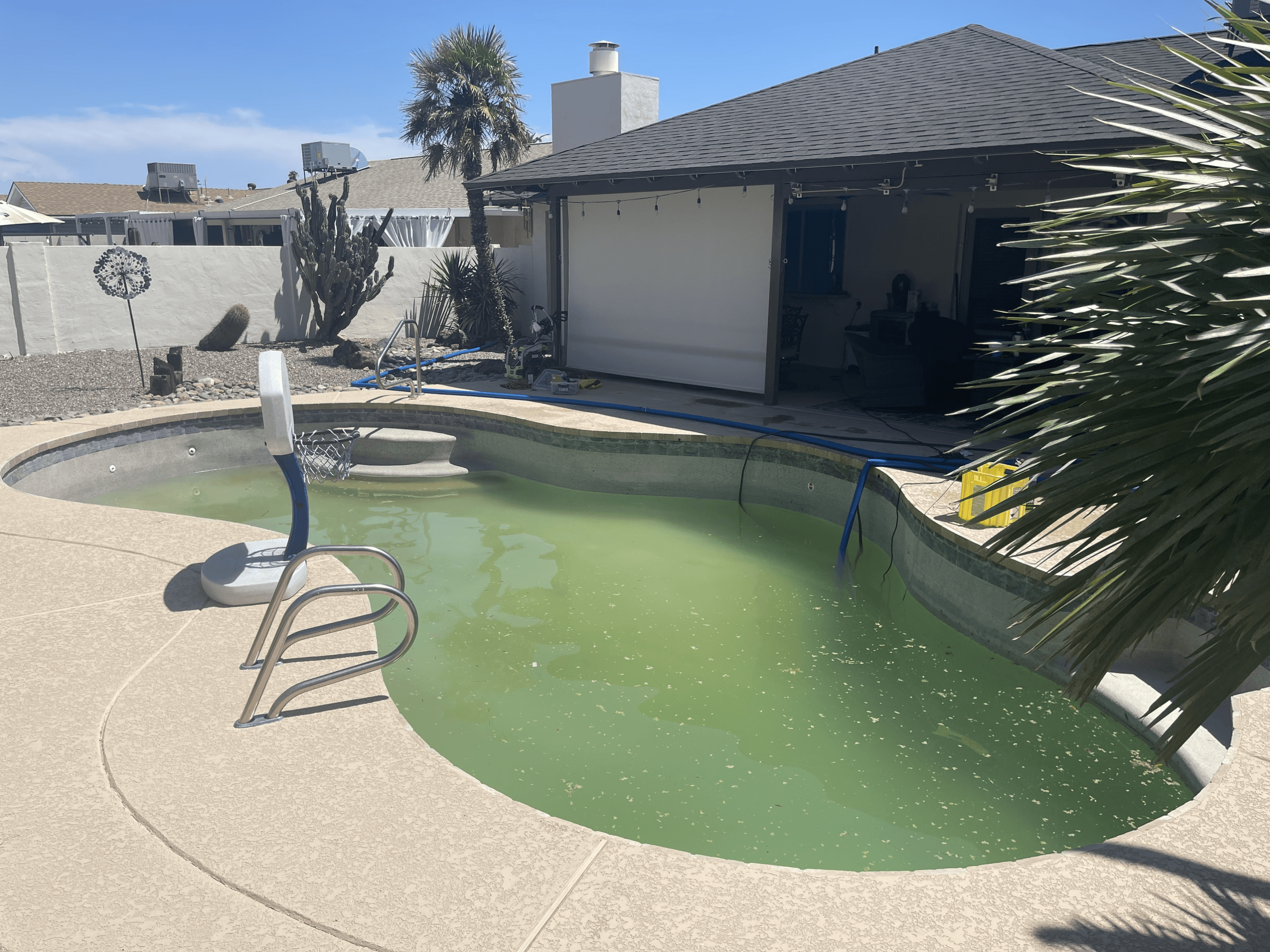 Before: Murky green pool